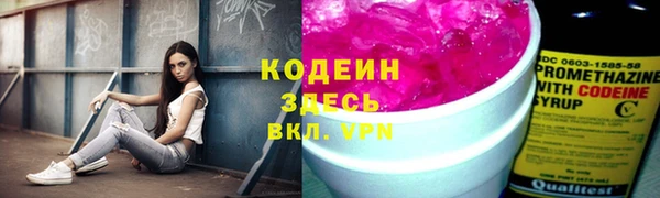 СК Каменка