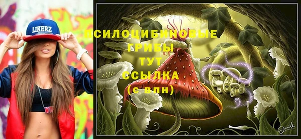 jwh Каменногорск
