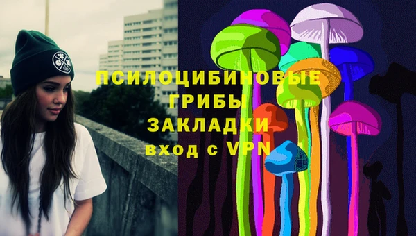 jwh Каменногорск