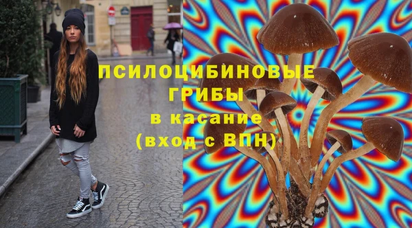 СК Каменка