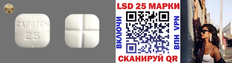 Купить закладки  Полесск  LSD-25 экстази ecstasy 